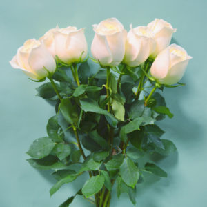 Bouquet Roses Blanches